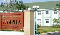 Biến động cổ đông Vidipha (VDP): Xuất hiện cá nhân gom hơn 6% vốn, dàn lãnh đạo đồng loạt đăng ký thoái hàng