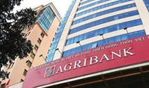 Agribank rao bán khoản nợ 460 tỷ đồng của Bất động sản Đông Dương: Giá khởi điểm thấp hơn tổng dư nợ