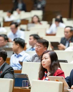 Quốc hội nghe báo cáo đầu tư xây dựng sân bay Gia Bình đạt chuẩn quốc tế 5 sao