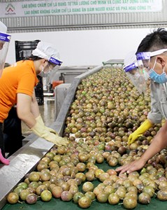 Bộ Công Thương khuyến cáo doanh nghiệp cập nhật quy định mới của Trung Quốc về xuất khẩu thực phẩm