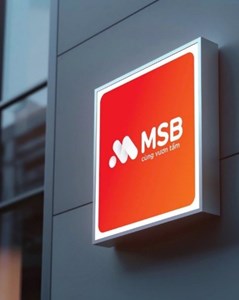 MSB: Hủy phiên đấu giá hơn 3.400 tỷ đồng của VNPT, vắng bóng nhà đầu tư do chênh lệch thị giá
