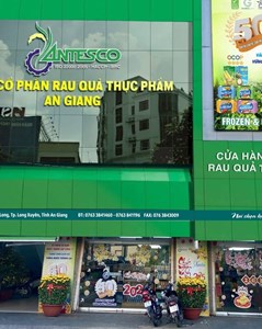 Được chấp thuận niêm yết HOSE, Antesco (ANT) chốt ngày hủy giao dịch trên sàn UPCom