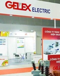 GELEX luân chuyển lãnh đạo, Giám đốc Kiểm toán nội bộ Tập đoàn giữ chức Phó Tổng Giám đốc GELEX Electric