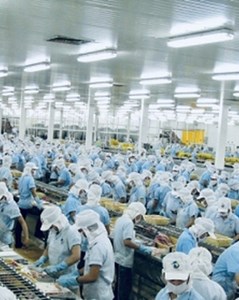 Lãi quý 3/2025 tăng gấp 3 lần, 'vua tôm' MPC lãi 223 tỷ, tiền gửi Vĩnh Hoàn (VHC) lên 4.400 tỷ