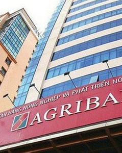 Agribank rao bán khoản nợ 460 tỷ đồng của Bất động sản Đông Dương: Giá khởi điểm thấp hơn tổng dư nợ