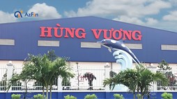 'Vua cá tra' một thời Thủy sản Hùng Vương (HVG) bị hủy tư cách công ty đại chúng