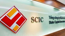 Thành viên SCIC chi tiền gom cổ phiếu FPT, hé lộ khoản tiền gửi 37.000 tỷ đồng sinh lời nghìn tỷ