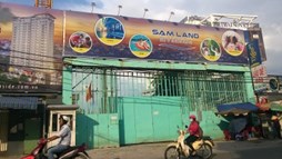 SAM Holdings (SAM): Lợi nhuận lao dốc 33%, hàng trăm tỷ đồng chôn chân tại các dự án 'đắp chiếu' suốt 8 năm