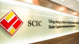 SCIC đấu giá trọn lô Trà Bắc (Trabaco): Giá khởi điểm gấp 4 lần quá khứ, thu về tối thiểu 287 tỷ đồng