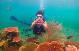 Pháp lý và đô thị hiện hữu – Bộ đôi giá trị nâng tầm sức hút đầu tư La Tiên Villa - Ảnh 3