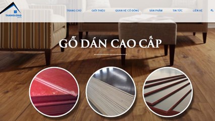 Đầu tư Xây dựng và Phát triển Đô thị Thăng Long (TLD) muốn rót thêm 16,5 tỷ đồng vào công ty con