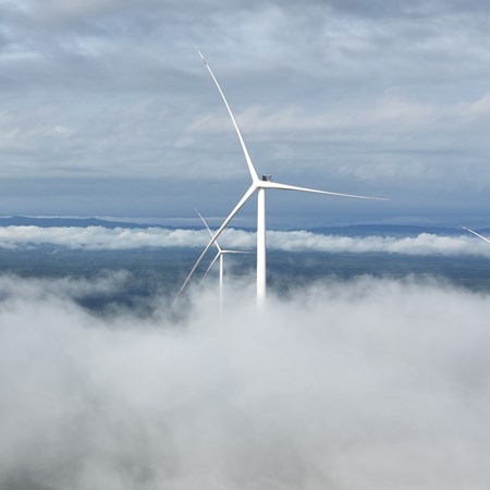 Chính thức vận hành thương mại nhà máy điện gió Savan 1 của T&T Group tại Lào