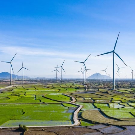 Gia Lai mời đầu tư dự án nhà máy điện gió hơn 48.300 tỷ đồng 