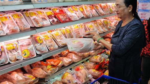 Thịt gà rẻ ồ ạt vào Việt Nam: Người nuôi lỗ nặng
