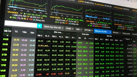 VinaCapital: Nhiều nhóm cổ phiếu triển vọng tươi sáng trong năm 2024