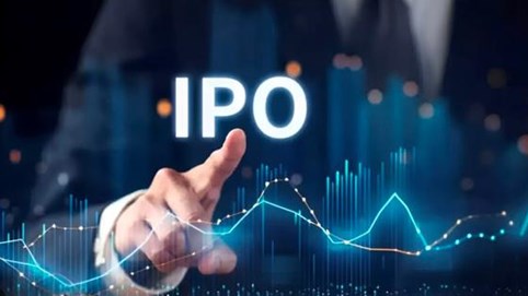 Thaco, Bách Hóa Xanh, Long Châu, Golden Gate và loạt 