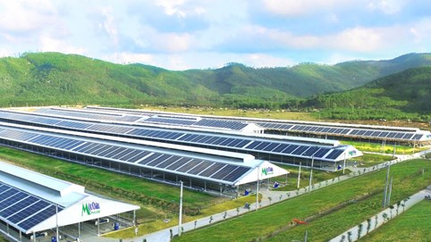 “Tổ hợp Thiên đường sữa Mộc Châu”: Kỳ quan Tây Bắc