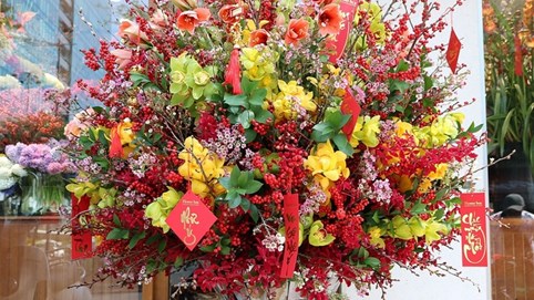 100 triệu đồng cặp bình hoa chưng Tết