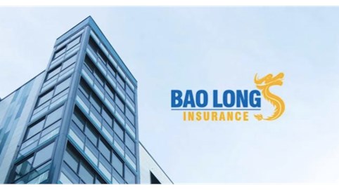 Lợi nhuận năm 2023 của Bảo hiểm Bảo Long (BLI) đi ngang so với năm ngoái