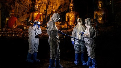 Manh mối mới trong cuộc truy tìm nguồn gốc Sars-CoV-2