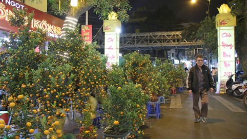 Chợ hoa Tết đìu hiu vì Covid-19