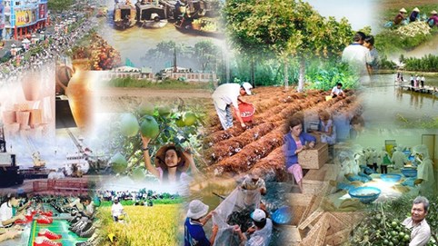 Chính sách mới về thanh tra, thuế, bảo hiểm, kiểm lâm... có hiệu lực từ tháng 2/2025