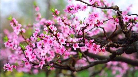 Chuyên gia chỉ tên nhóm cổ phiếu sẽ 