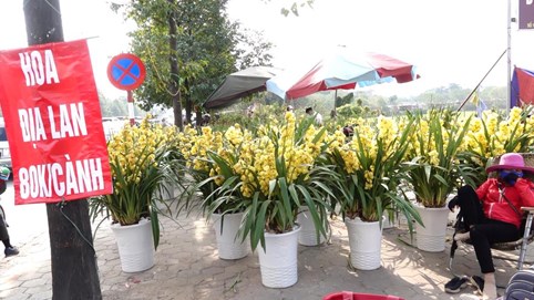 24 tết, người bán hoa tại Hà Nội xả hàng, giảm giá, chỉ mong huề vốn