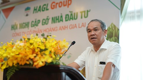 Hoàng Anh Gia Lai (HAG) có tổng giám đốc mới