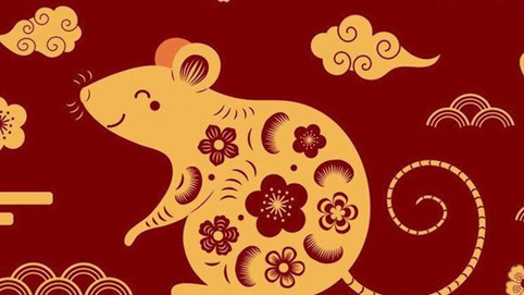 Những ngân hàng được thành lập năm con chuột làm ăn ra sao?