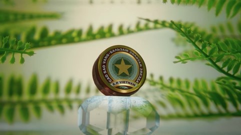 Chủ sở hữu cao Sao Vàng lãi hơn 300 triệu mỗi ngày