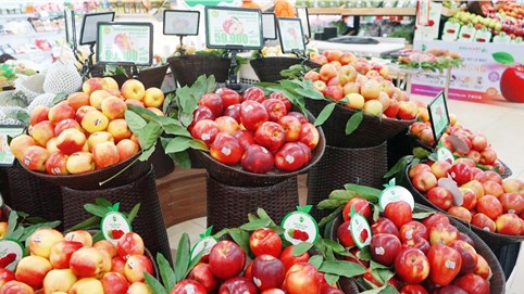 Rộn ràng mua sắm tại lễ hội táo Washington siêu thị BRGMart 2023