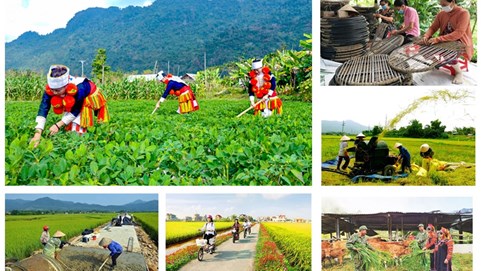 ​Tháo gỡ khó khăn trong triển khai thực hiện các chương trình mục tiêu quốc gia