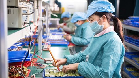 Hai doanh nghiệp chiếm đoạt hàng trăm tỷ tiền hoàn thuế VAT