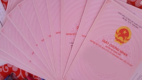 Luật Đất đai 2024: Các trường hợp không cấp Giấy chứng nhận quyền sử dụng đất, quyền sở hữu tài sản gắn liền với đất