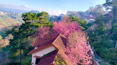 Ngôi nhà trăm sắc hoa đẹp như mơ giữa lưng chừng đồi ở Đà Lạt