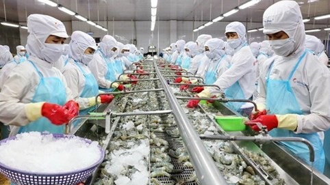 Doanh thu của Thực phẩm Sao Ta (FMC) tăng 19% trong tháng 2/2023