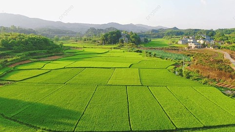 Trình tự, thủ tục cho phép chuyển mục đích sử dụng đất