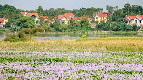 Thẩm quyền giải quyết tranh chấp đất đai