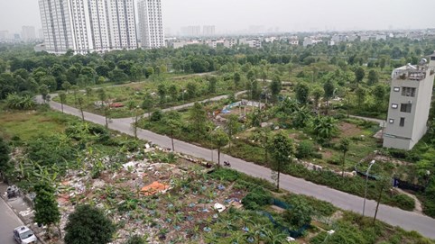 Đất nền giảm giá tiền tỷ, cuối 2023 là thời điểm “bắt đáy”