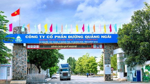 Đường Quảng Ngãi (QNS): Lợi nhuận 2025 dự kiến giảm 25%, dồn lực cho đầu tư bền vững