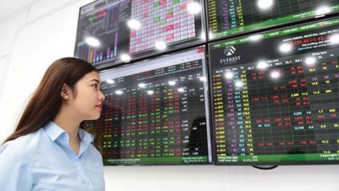 Sau khi bị xử phạt, Tổng Bách Hóa chuẩn bị lên sàn UPCoM với mã TBH