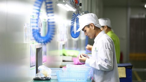 Lao động ở nước ngoài về nước khó tìm việc: Lãng phí 'tay nghề cao'