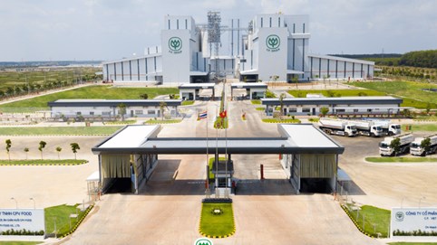 Chăn nuôi C.P. Việt Nam: 'Gà đẻ trứng vàng' của đại gia Thái Lan trước ngưỡng cửa IPO