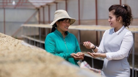 Cách xây hệ sinh thái bền vững của CEO King Coffee Lê Hoàng Diệp Thảo