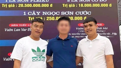 Quảng Ninh: Công an xác minh 'màn' giao dịch lan đột biến trị giá gần 300 tỷ đồng
