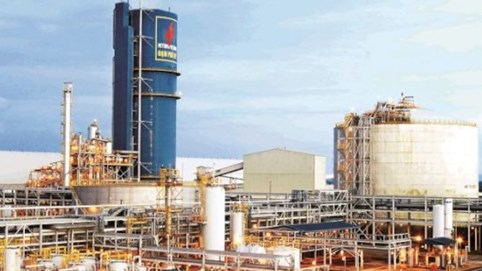 Phân bón và Hóa chất Dầu khí Đông Nam Bộ (PSE): Lợi nhuận 2025 dự kiến giảm, tập trung vào chính sách bán hàng