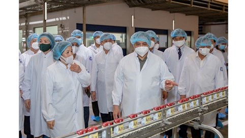 Vinamilk và Vilico bắt tay xây dựng siêu nhà máy sữa 4.600 tỷ tại Hưng Yên 