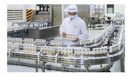 Vinamilk và vai trò mới sau 3 năm dẫn đầu Top 100 nơi làm việc tốt nhất Việt Nam 