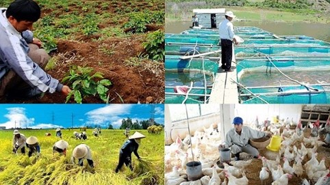 HSBC: Việt Nam đặt trọng tâm vào nông nghiệp xanh